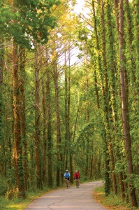 Adventure is waiting on the Tammany Trace that winds its way through the scenic north shore of Lake Pontchartrain. (photo courtesy Tammany Parish Tourist Commission)