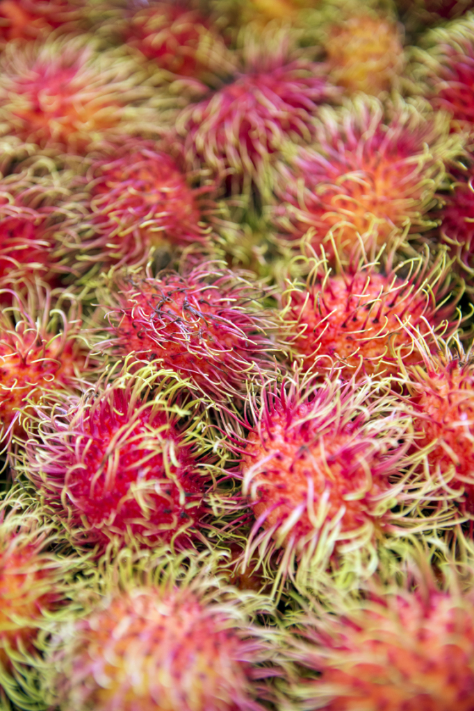 The hairy red fruit known as rambutan comes from Southeast Asia. Inside is a mild, sweet white fruit that tastes similar to grapes.