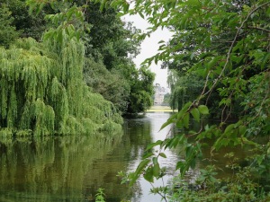 TJ London pond