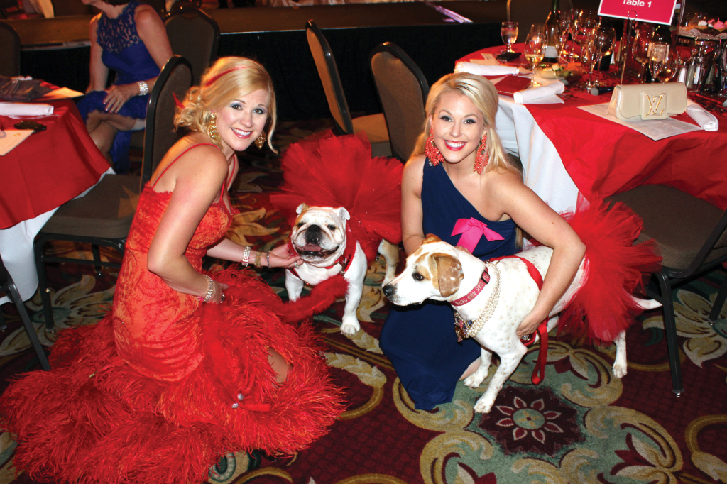 Companion Animal Alliance Fur Ball 2014