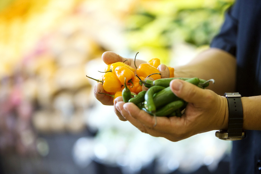 An array of fresh peppers in the produce section of La Morenita.