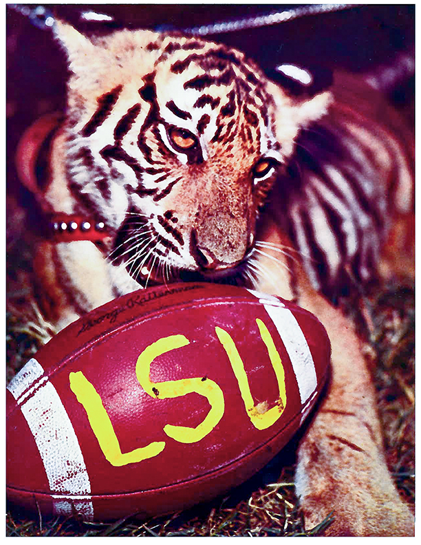 GRAPHICS & MORE Mike the Fighting Tiger LSU Gift Wrap Wrapping Paper Rolls