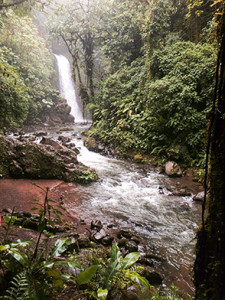 La Paz Rainforest