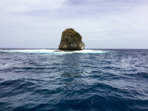 Monkey Head Island