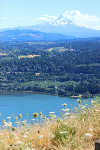 Mound Hood and the Columbia River Gorge