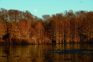 Lake Ophelia. Photo by C.C. Lockwood.