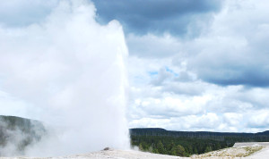 Old Faithful erupts in Yellowstone